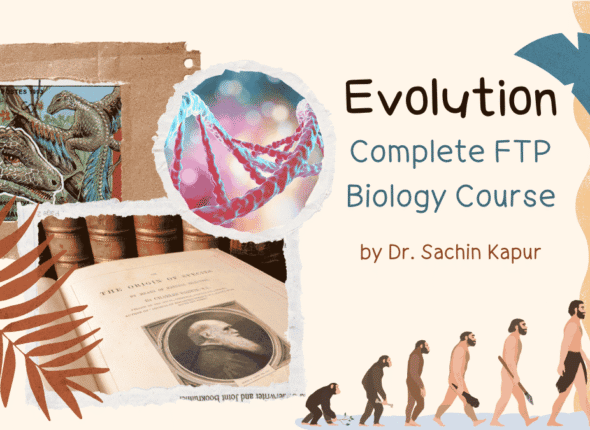 Evidence for Evolution Presentation in Colorful Textured and Natural Style
